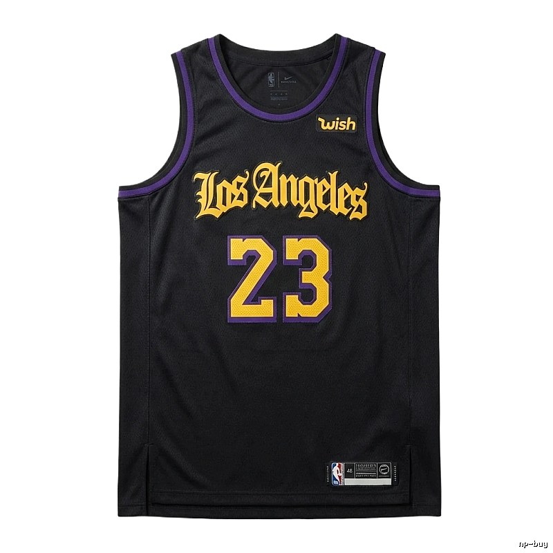 LBJ No.23 black-purple basketball jersey