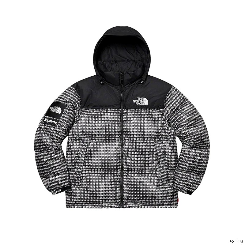 Pattern Logo The North Face Puffer Jacket for Photo Ready Looks